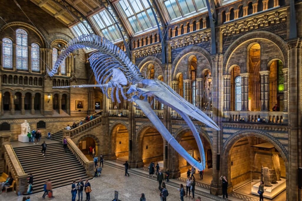 Museo de Historia Natural
