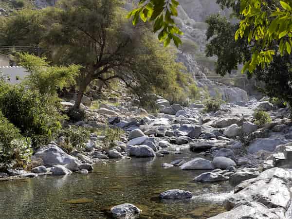 Nakhl a Al Thowrah