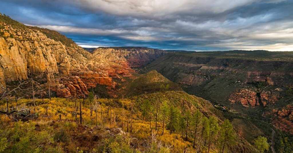 North Wilson Mountain Trail