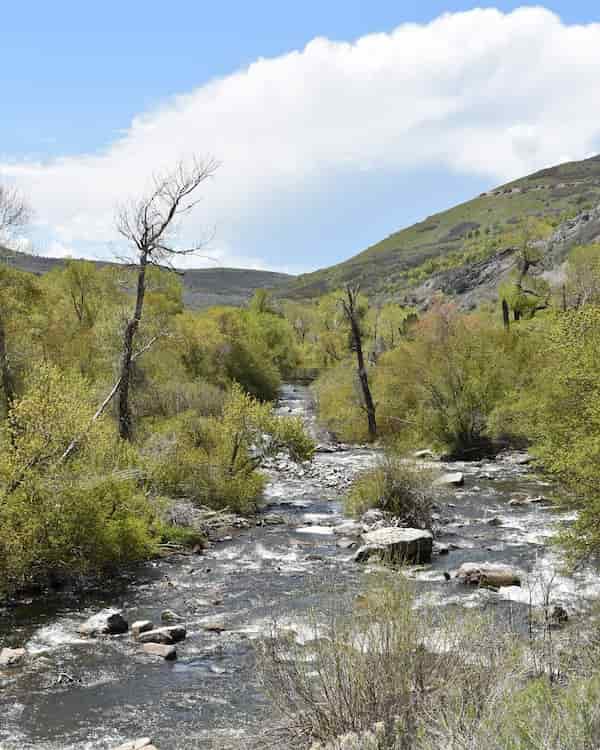 Nunns Park-Lugares para Acampar cerca de Provo
