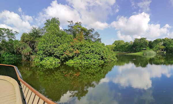 Observa animales en los jardines ecológicos y el lago ecológico 1.7
