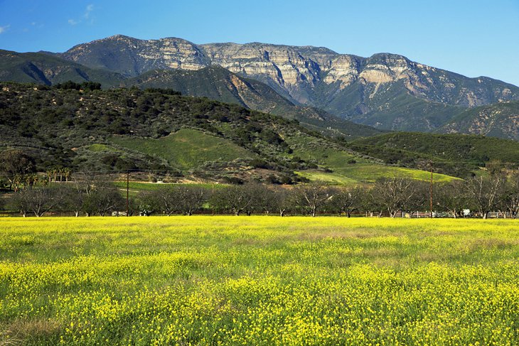 Ojai-Escapada de fin de semana desde San Diego