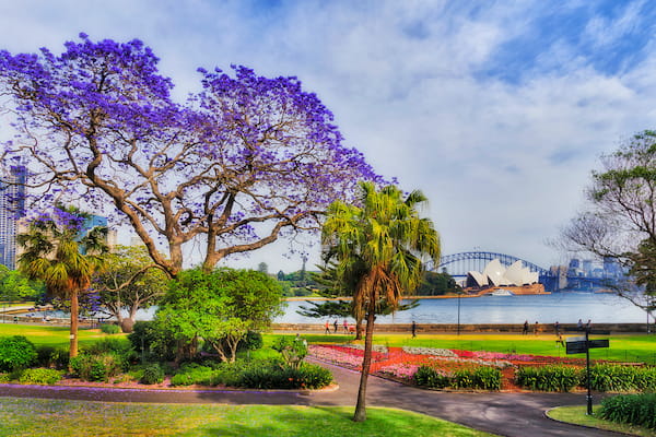 Ópera al aire libre en Sydney-Experiencias románticas en Australia 2