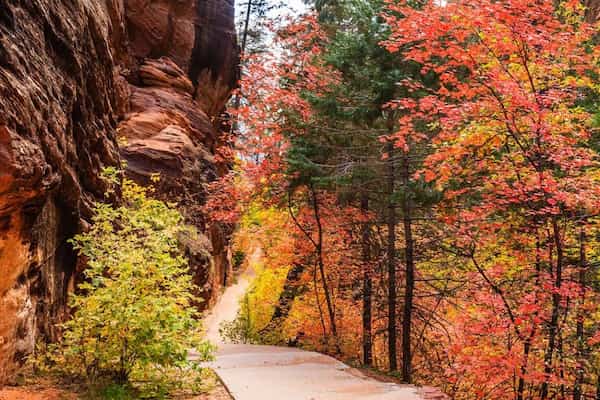 Otoño - mejor época para vadear