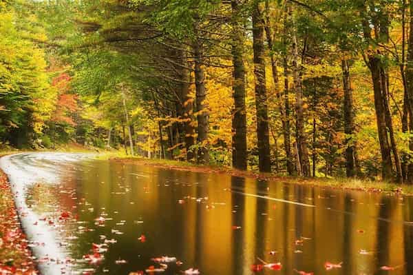Otoño-visitar el Parque Nacional Acadia