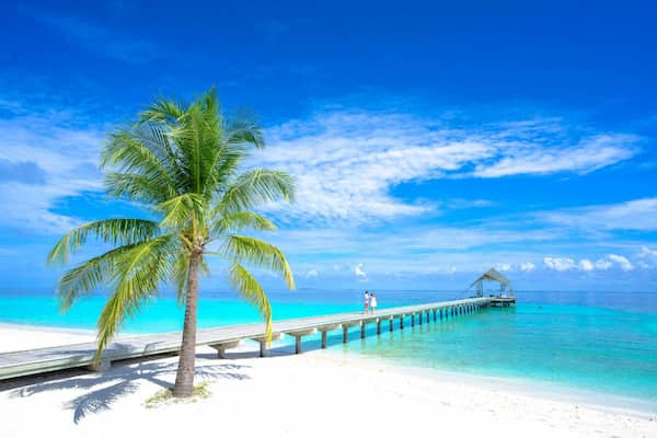 Palm beach
