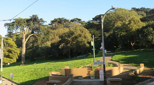 Parque Buena Vista