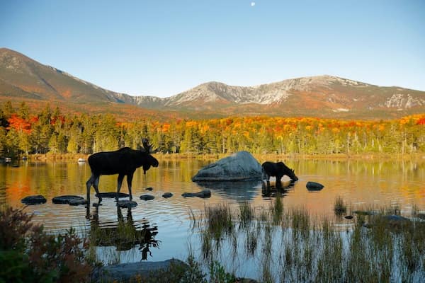 Parque Estatal Baxter-Colores de Otoño en Nueva Inglaterra