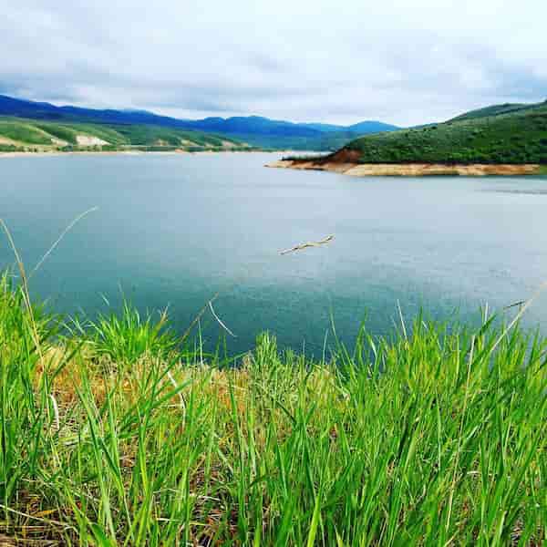 Parque Estatal East Canyon-Acampar cerca de Salt Lake City