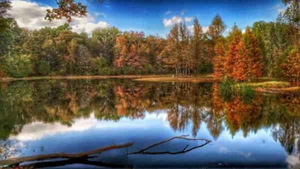 Parque Estatal Lago Bob Sandlin