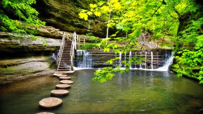 Parque Estatal Matthiessen