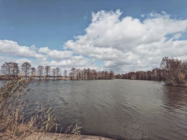 Parque Estatal Sheldon Lake-Geniales parques estatales cerca de Houston