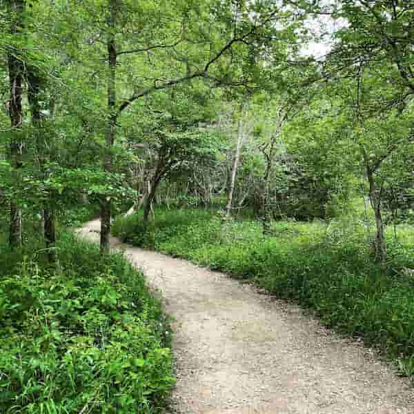 Parque Estatal Stephen F. Austin-Geniales parques estatales cerca de Houston
