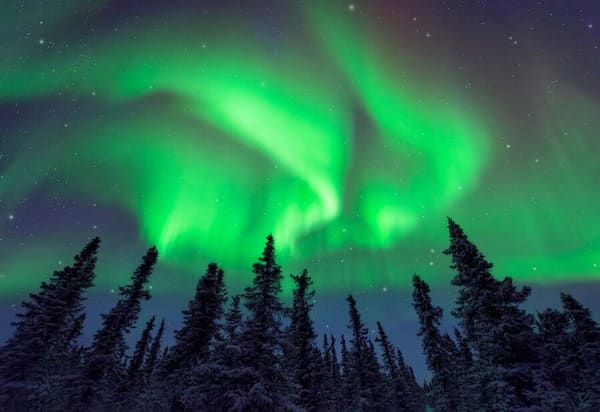 Parque Nacional Denali-parques naturales para visitar en diciembre