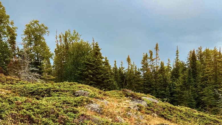 Parque Nacional Isle Royale de Michigan