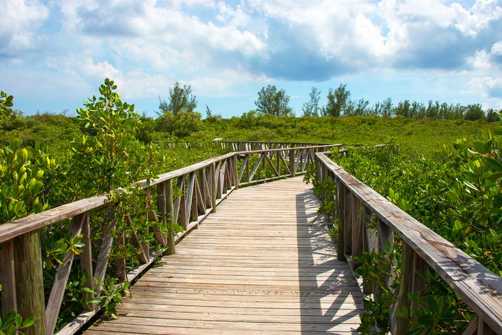 Parque Nacional Lucayan en la isla Gran Bahama