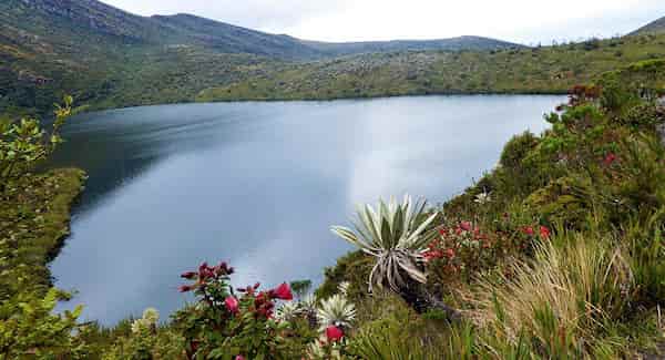 Parque Nacional Natural Chingaza-Parques Nacionales en Colombia