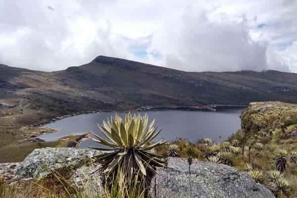 Parque Nacional Natural Sumapaz-Parques Nacionales en Colombia