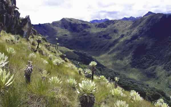 Parque Nacional Natural Tatama