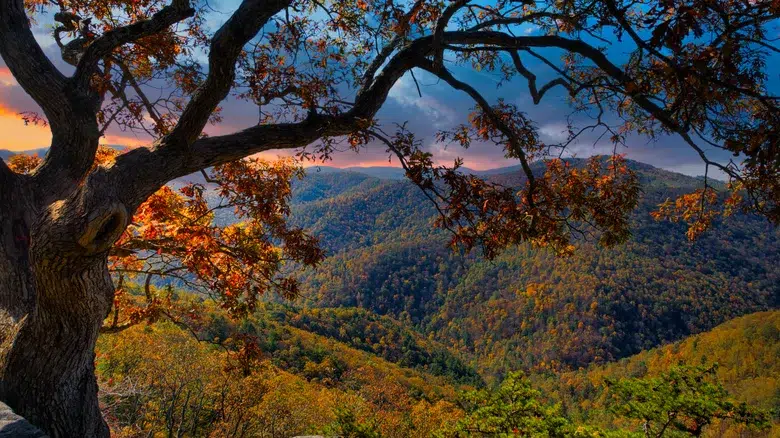 Parque Nacional Shenandoah y Skyline Drive