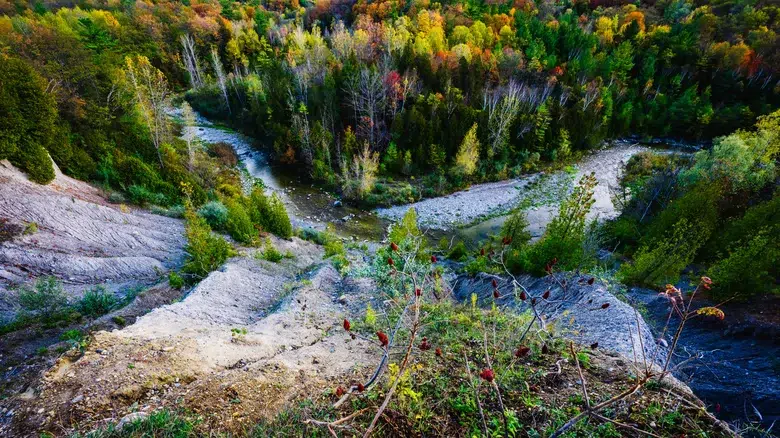 Parque Nacional Urbano Rouge, Markham