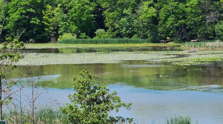 Parque Nacional Urbano Rouge