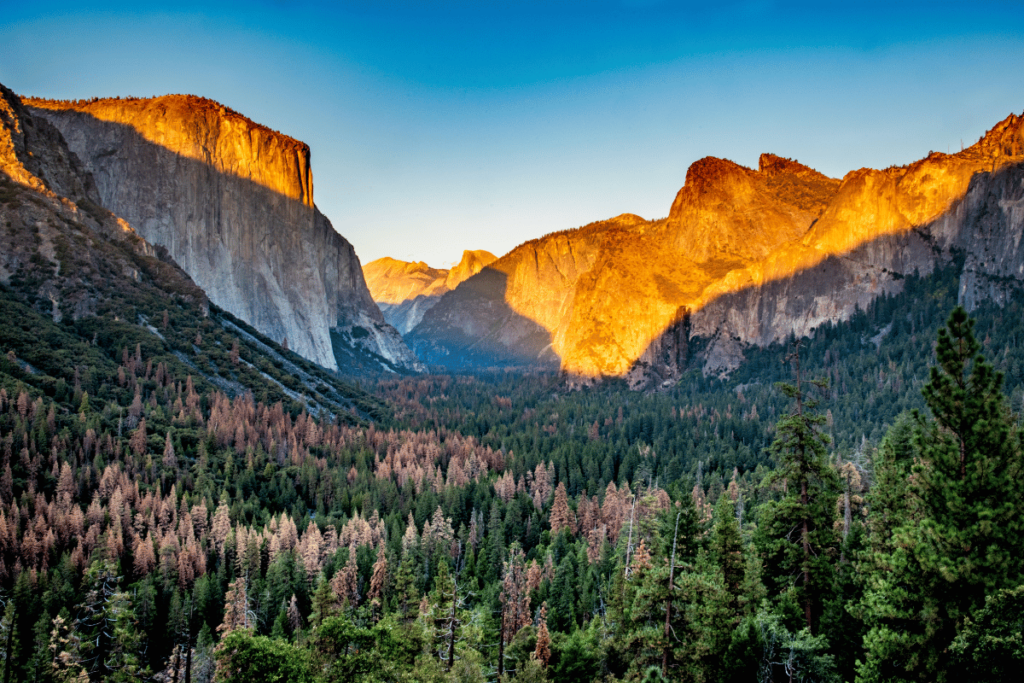 Parque Nacional Yosemite turismo paseo