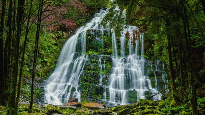 Parque Nacional de los Ríos Salvajes Franklin-Gordon, Tasmania