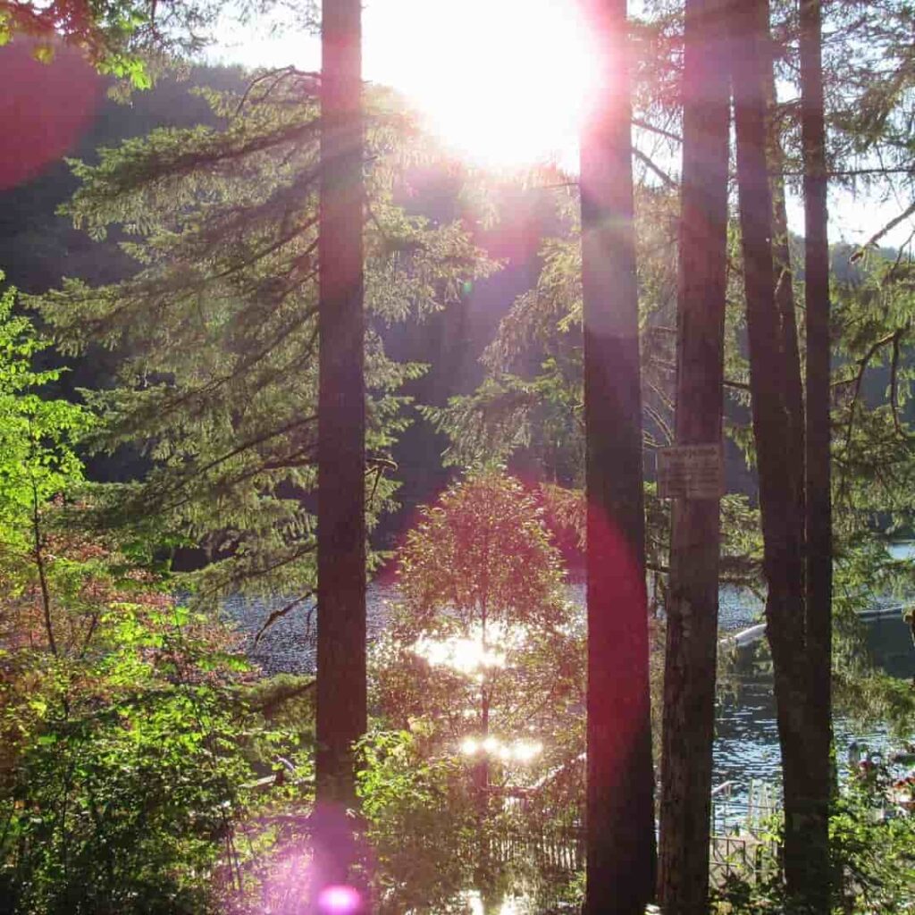 Parque Promontorio-campamentos cerca de Portland