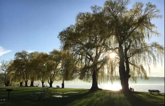 Parque Stewart
