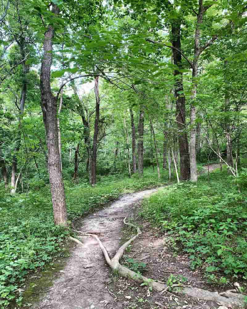 Parque Swope-senderos en Kansas City