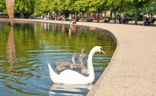 Parque Victoria