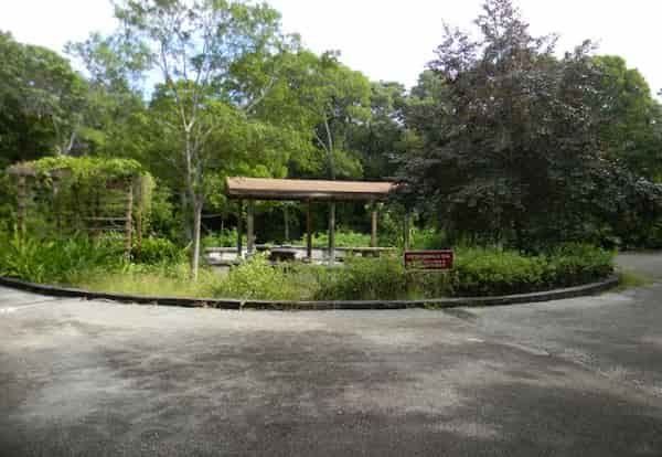 Parque botánico estatal Dagny Johnson Key Largo Hammock