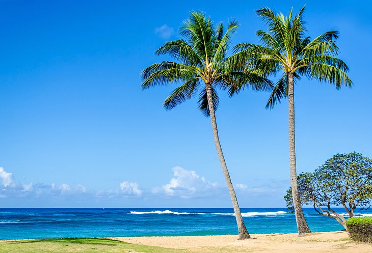 Parque de la playa de Poipu, Kauai

