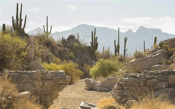 Parque del Cañón Honey Bee-Experiencias más destacadas en Oro Valley
