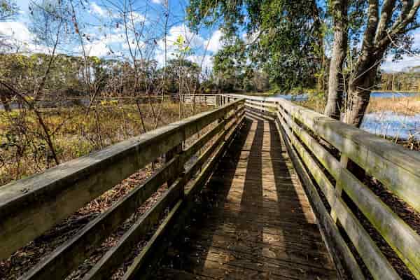 Parque estatal Brazos Bend