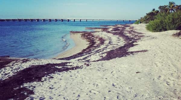 Parque histórico de Virginia Key Beach