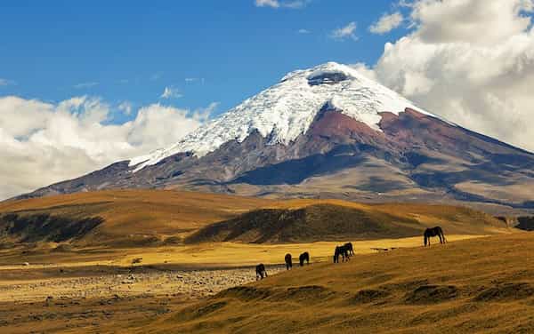 Parques Nacionales Cotopaxi y Cajas