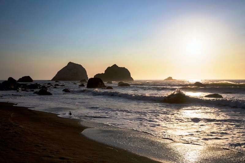 Parques Nacionales y Estatales de Redwood-california-Playas en Parques Nacionales de Estados Unidos