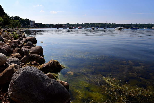 Pasar el día en el lago de Ginebra