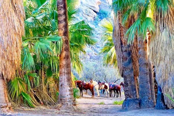 Pasea a caballo por un cañón