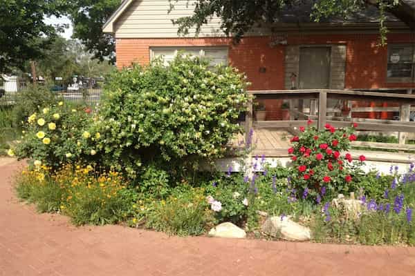 Pasea por el Lubbock Memorial Arboretum