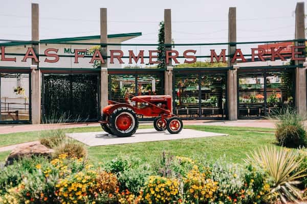 Pasea por el mercado de agricultores de Dallas