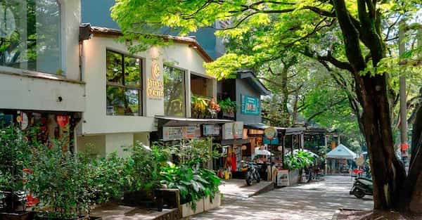 Pasea por las calles de El Poblado-Actividades para hacer en Medellín