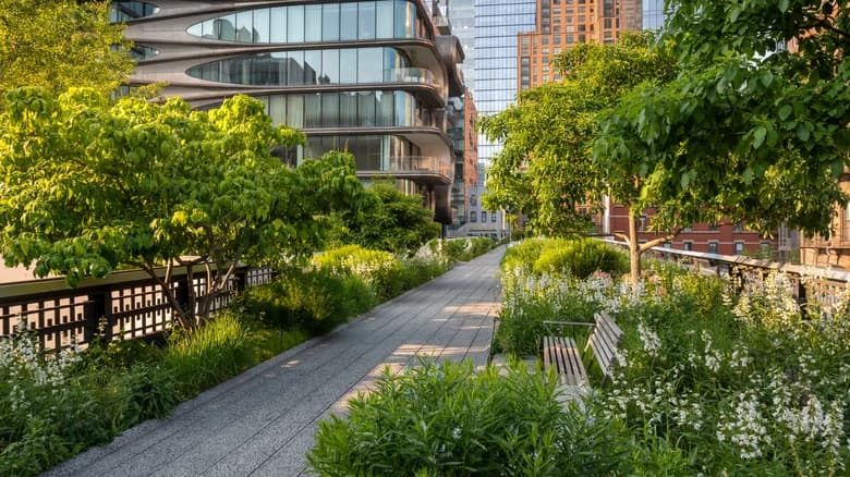 Pasea por los jardines del High Line