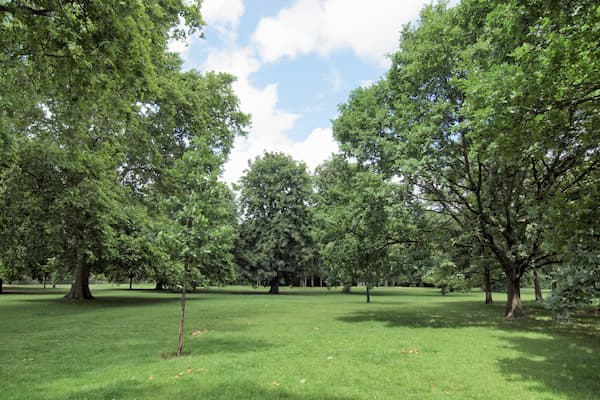 Pasee por los jardines de Kensington
