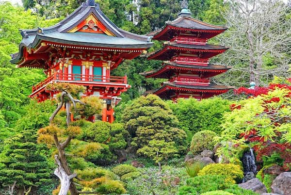 Pasee por los sinuosos senderos del jardín de té japonés