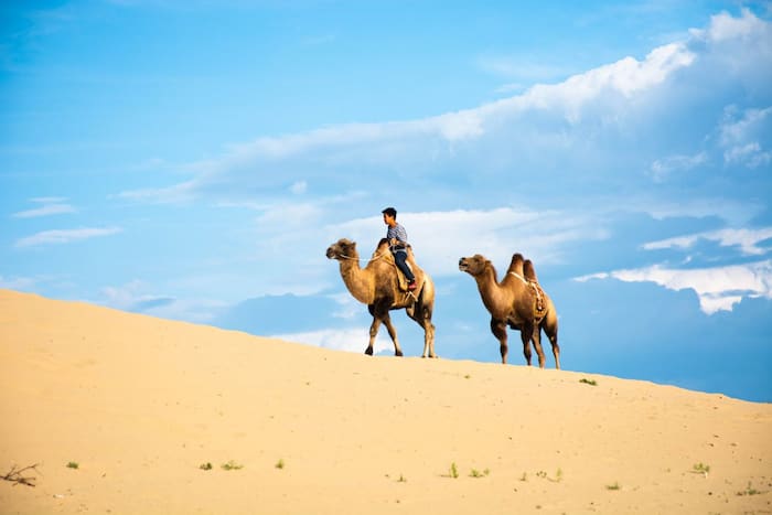 Paseos en camello-Dunhuang y Jiayuguan en China