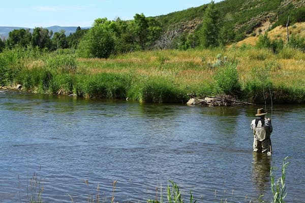 Pesca con mosca