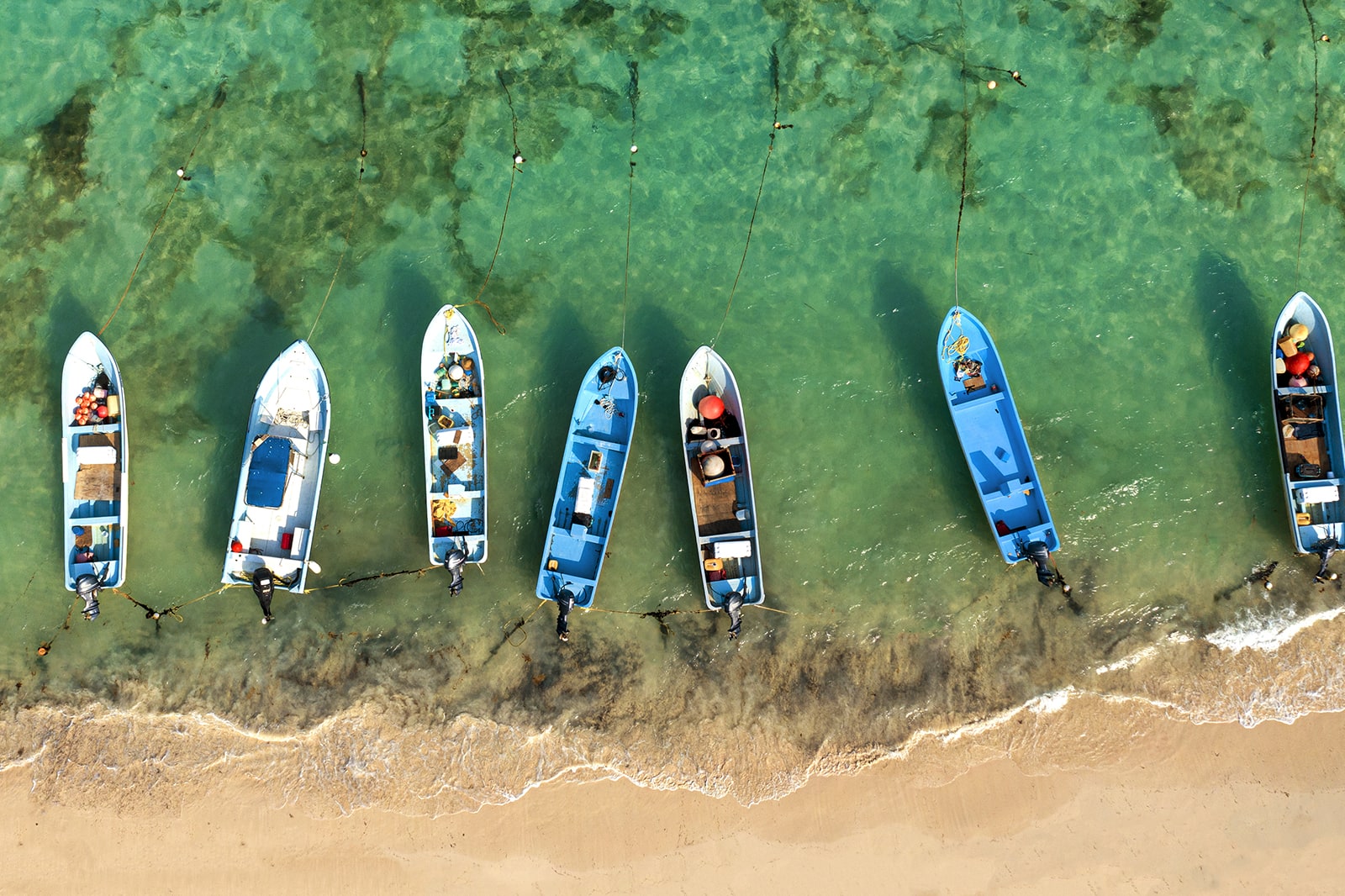 Pesca en puerto morelos